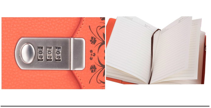 private diary